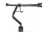 StarTech.com Crossbar Triple Monitor Desk Mount, VESA 75x75/100x100 - Takaisin