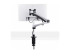 StarTech.com Monitor Desk Mount, VESA 75x75/100x100, 27/30-inch Screens - Takaisin