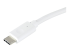 StarTech.com USB-C to Gigabit Ethernet Adapter - Lähikuva