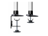 StarTech.com Monitor Desk Mount, VESA 75x75/100x100, 27/30-inch Screens - Lähikuva
