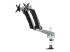 StarTech.com Desk Mount Dual Monitor Arm - Oikea kulma